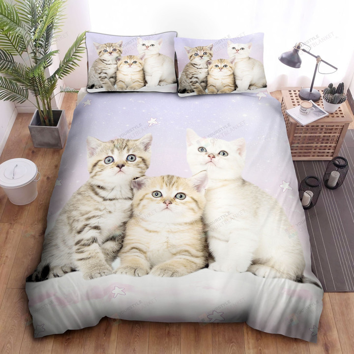 Kitten Cat Cute Bed Sheets Spread Duvet Cover Bedding Sets