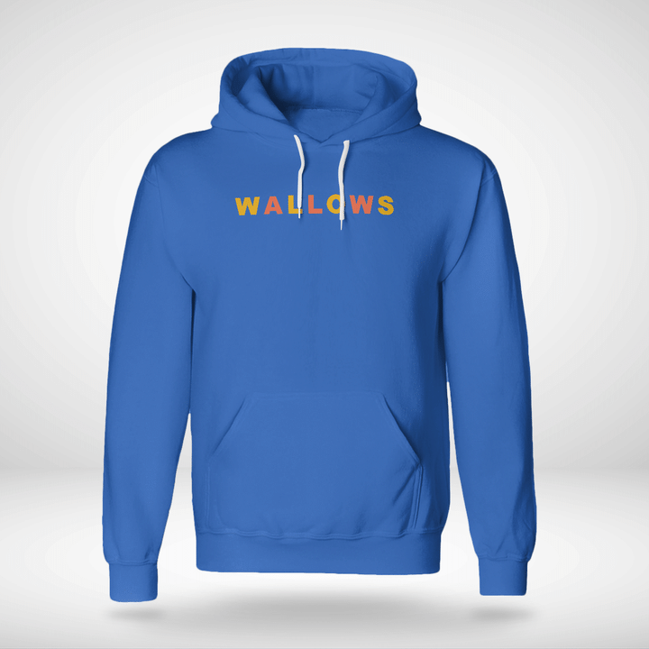 wallows hoodie