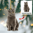 Custom photo Ornament | Cat Loved