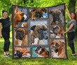 Boxer Beautiful Dogs Quilt Blanket Great Customized Gifts For Birthday Christmas Thanksgiving Anniversary