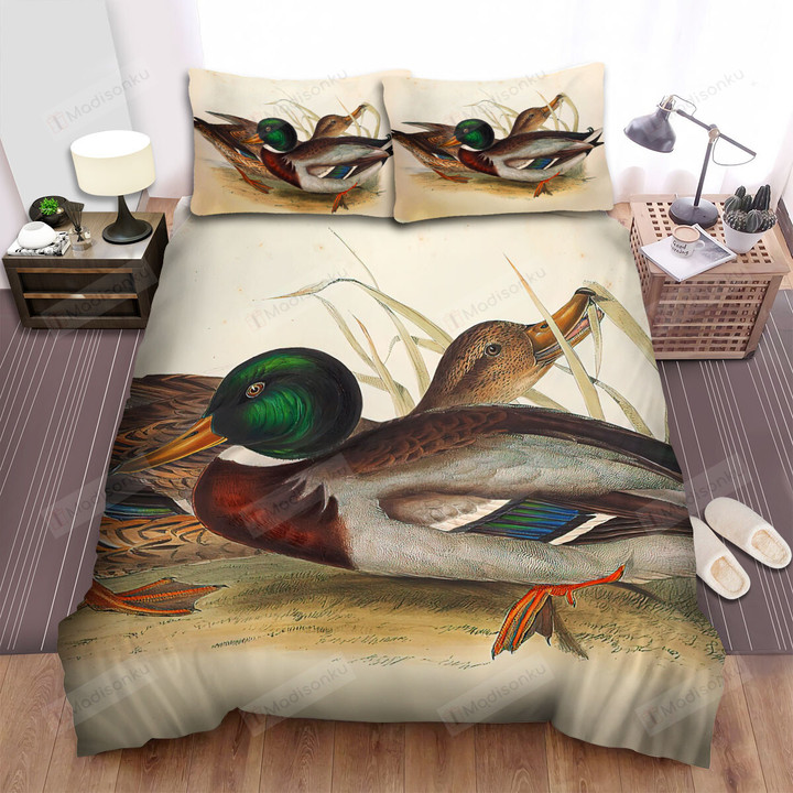 The Wild Bird - The Common Wild Duck Bed Sheets Spread Duvet Cover Bedding Sets