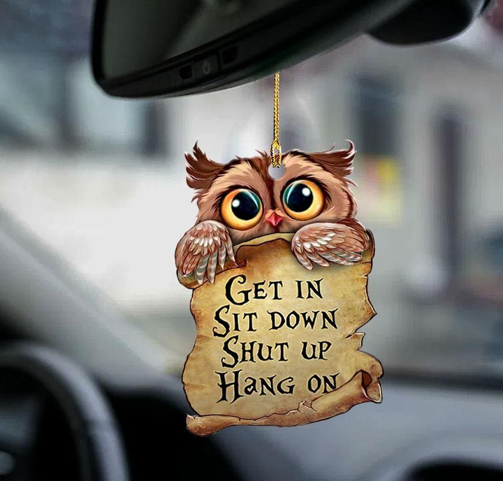 Owl get in owl lover two sided ornament
