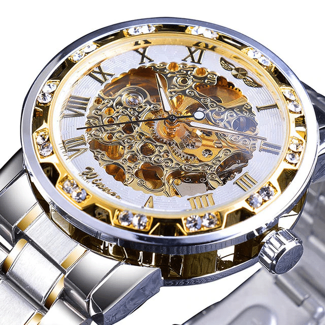 Top Brand Luxury Male Mechanical Skeleton Wrist Watch