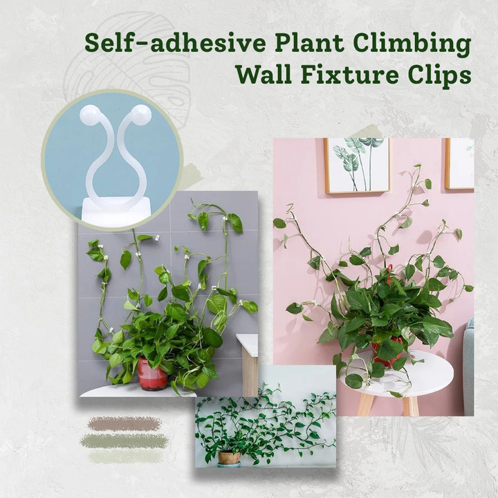 Self-adhesive Plant Climbing Wall Fixture Clips