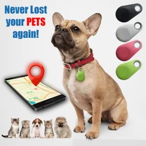 Dogs GPS Tracker & Activity Monitor