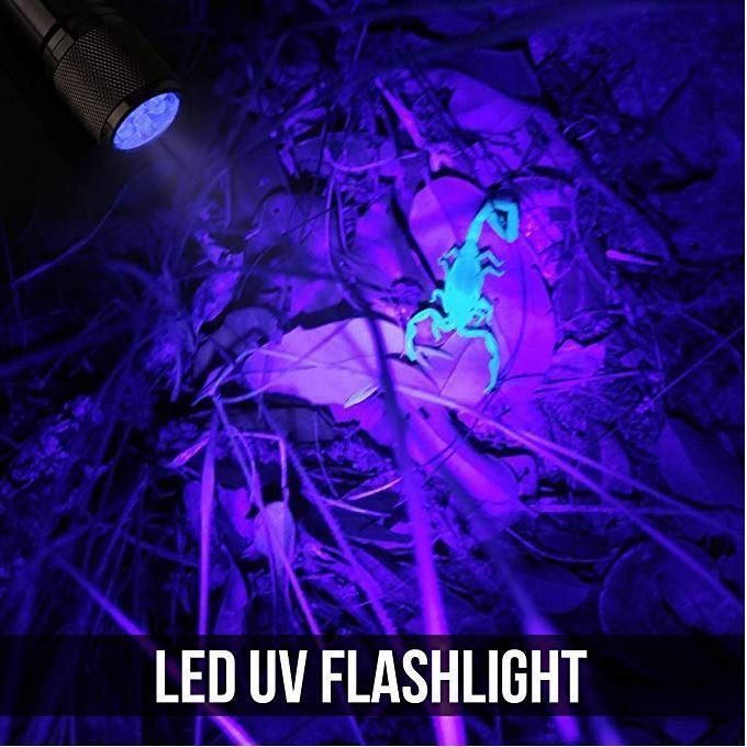 Ultraviolet LED Flashlight