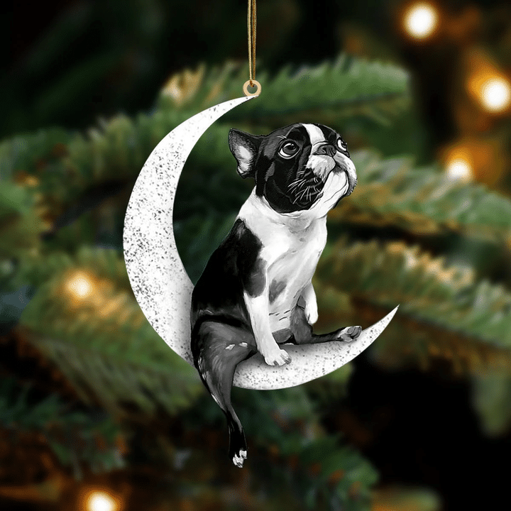 Boston Terrier-Sit On The Moon-Two Sided Ornament