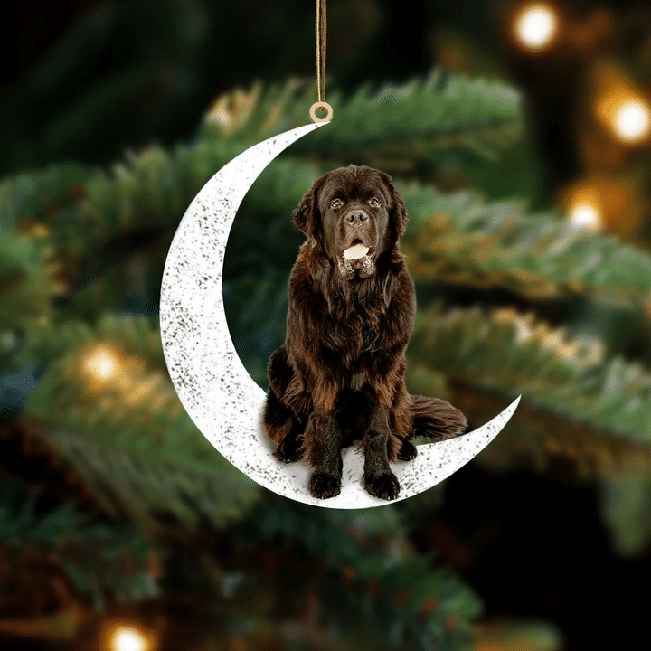 Newfoundland 2-Sit On The Moon-Two Sided Ornament