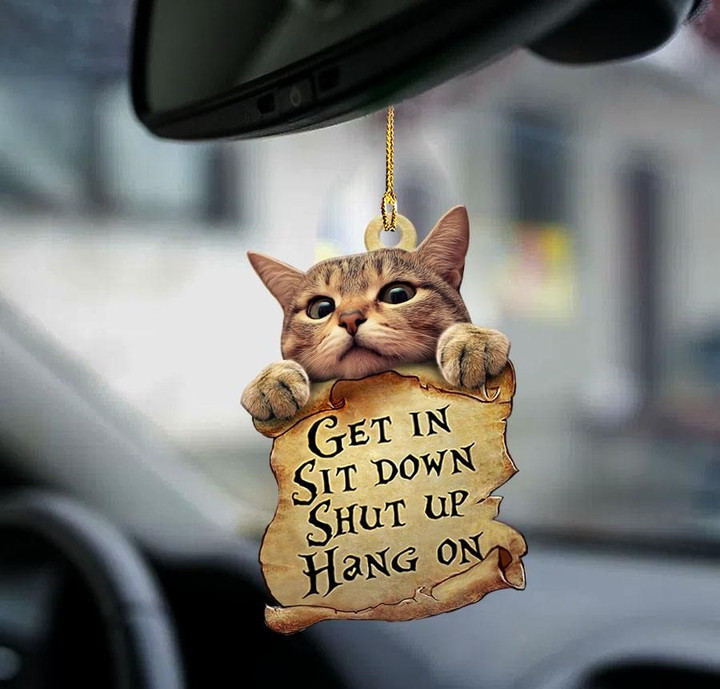 Cat get in cat lover two sided ornament