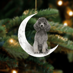 Poodle 2-Sit On The Moon-Two Sided Ornament