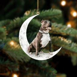 Pitbull 2-Sit On The Moon-Two Sided Ornament