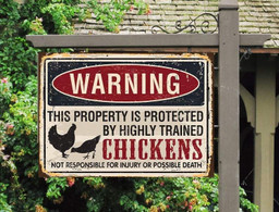 Chicken Warning Metal Sign