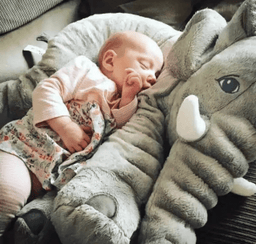 Anti-Anxiety Baby Elephant Animal Plush Sleeping Plush OFFER