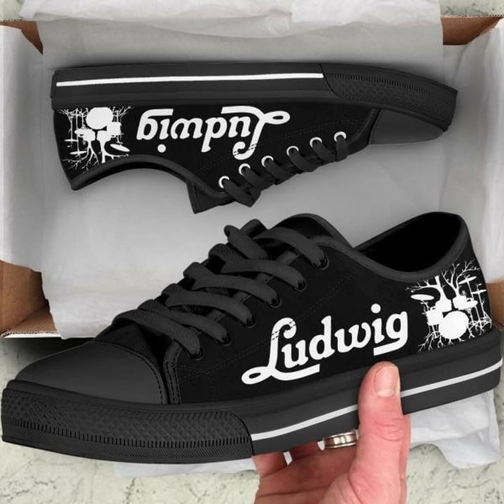 Ludwig Low Top Logo Shoes For Women, Shoes For Men Custom Shoes Shoes20933