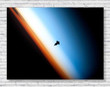 Space Nasa Shuttle Silhouette From Outer Space Rolled Canvas Poster For Wall Decal Canvas - MakedTee
