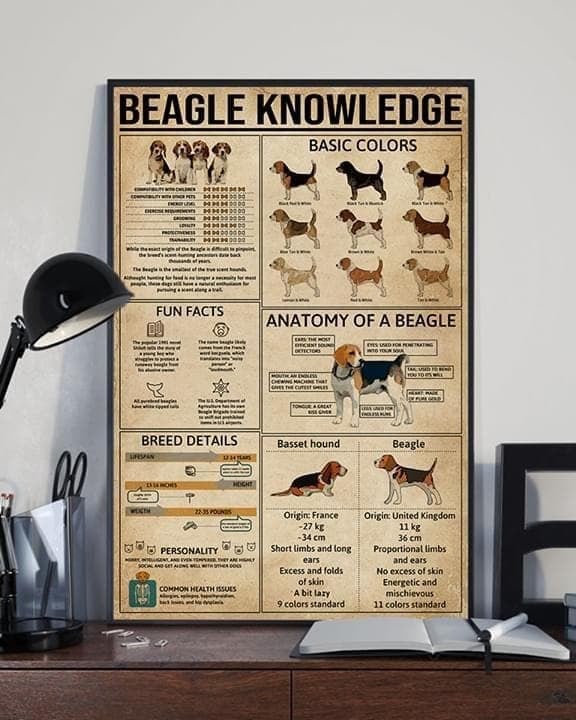 Beagle Knowledge Anatomy Colors Fun Facts Breed Details Printed Wall Art Decor Canvas - MakedTee