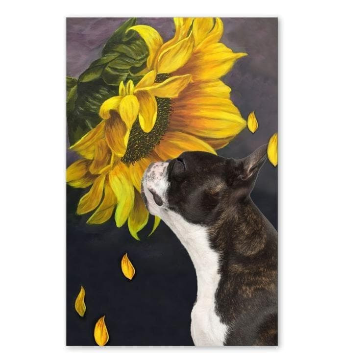 Boston Terrier Sunflower Canvas - MakedTee