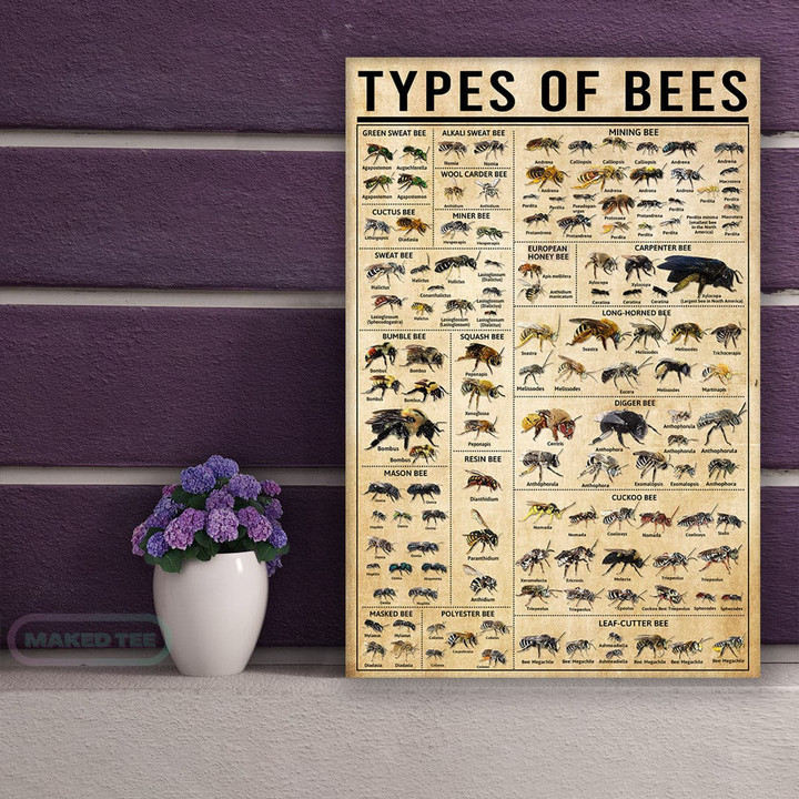 Types Of Bees Insect Knowledge Wall Art Print Canvas Prints