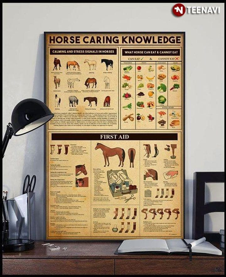 Horse Caring Knowledge Wall Art Print Canvas - MakedTee