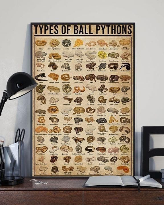 Types Of Ball Pythons Pythons Knowledge Wall Art Print Canvas - MakedTee