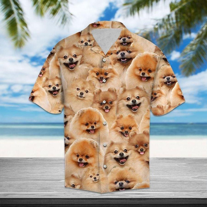 Pomeranian Hawaiian Shirt | For Men & Women | Adult | HW1111