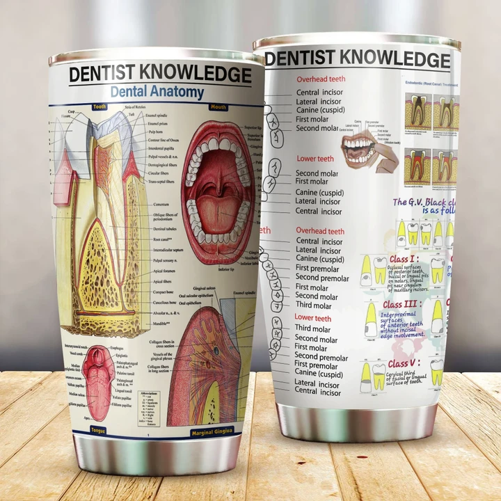 Dentist Knowledge Premium Stainless Tumbler Cup Premium MPT18 - Amaze Style™-Tumbler