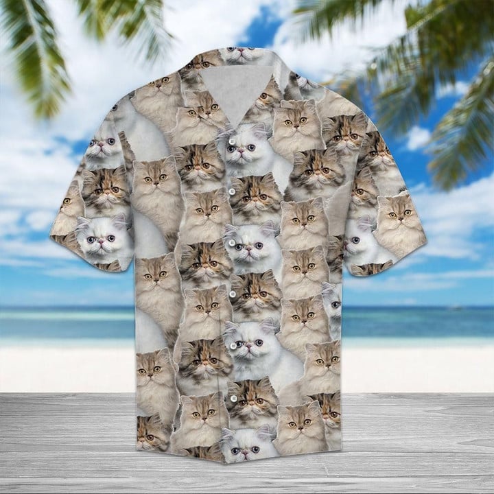 Persian Cat Aloha Hawaiian Shirt Colorful Short Sleeve Summer Beach Casual Shirt For Men And Women
