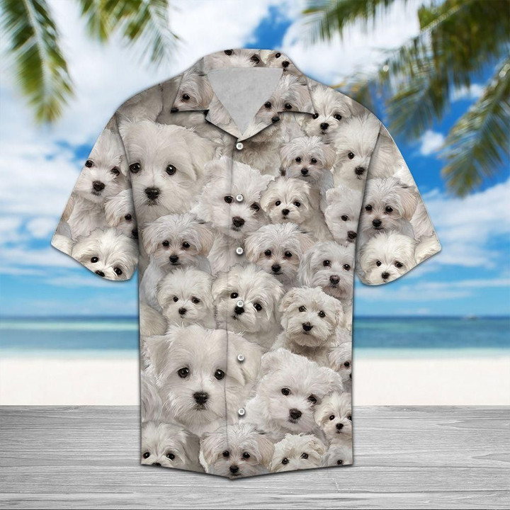 Maltese Aloha Hawaiian Shirt Colorful Short Sleeve Summer Beach Casual Shirt For Men And Women