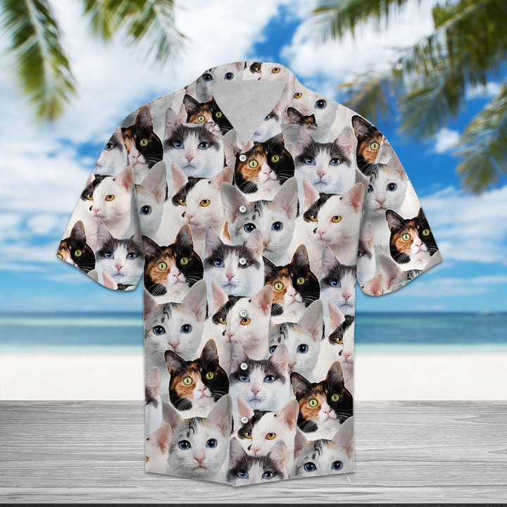 Japanese Bobtail Aloha Hawaiian Shirt Colorful Short Sleeve Summer Beach Casual Shirt For Men And Women