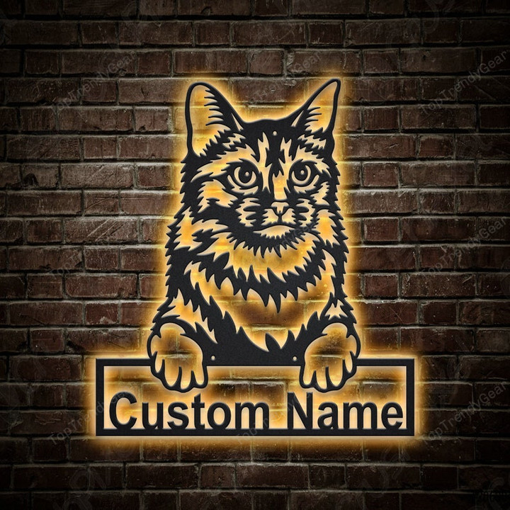 Personalized Somali Cat Metal Sign With LED Lights Custom Somali Cat Metal Sign Birthday Gift Cat Sign
