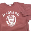 Vintage Harvard Champion Crewneck XL