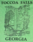 Natures Waterpark   Vintage late 1980s or early 1990s Toccoa Falls Georgia Waterfall T shirt   Screen Stars   5050