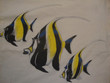 Vintage 90s Divers Supply Grand Cayman BW Zanclus Tourist Canescens Fish White T Shirt Size M