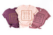 Big Sister ShirtLil Sister Shirtbig sis big sister reveal big sister announcement baby announcement Mauve Shirt Ollie and Penny