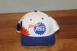 Team ASE Hat   Racing   Nascar   New