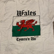 Vintage Wales t shirt size L Large M Medium Vtg Welsh Flag Tee Shirt 90s 1990s Dragon Dragons UK Europe