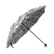 Polynesian Umbrella - Polynesian Foldable Umbrella Nn6 11 |Accessories| 1sttheworld