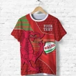 (Custom Personalised) Wales Rugby T Shirt Dragon Special - CYMRU K13 | Lovenewzealand.co