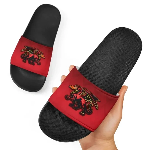 Rugbylife Sandals - Wales Rugby Slide Sandals Simple Style K8