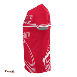 wales rugby t shirt horizontal style