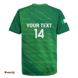 Custom Ireland Cricket Rugby Jersey Irish Celtic Knot - National Color LT14