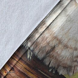 Australia Blanket Australia Kookaburra