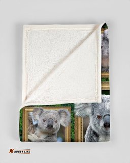 Australia Blanekt Koala 3D