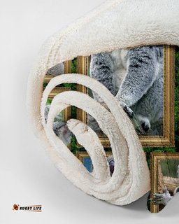 Australia Blanekt Koala 3D