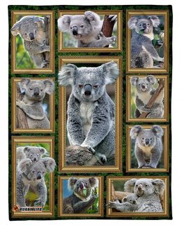 Australia Blanekt Koala 3D