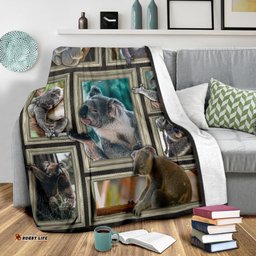 Premium Blanket 3D Koala Frames Blanket