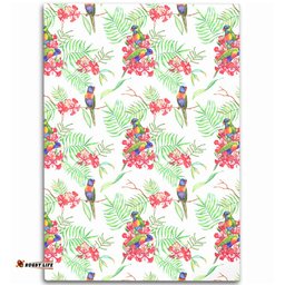 Australia Rainbow Lorikeets Area Rug - Rainbow Lorikeets Colorful Tropical Exotic Flowers Area Rug