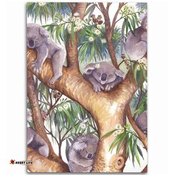 Australia Koala Area Rug - Sleep Little One Area Rug