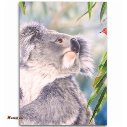 Australia Koala Area Rug - Koala with a Scarlet Honeyeater Area Rug