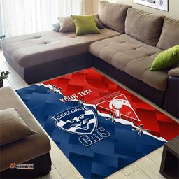 Custom Swans And Cats Football Area Rug 2024 Together Dynamic Version